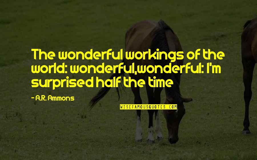 Surprised Quotes By A.R. Ammons: The wonderful workings of the world: wonderful,wonderful: I'm