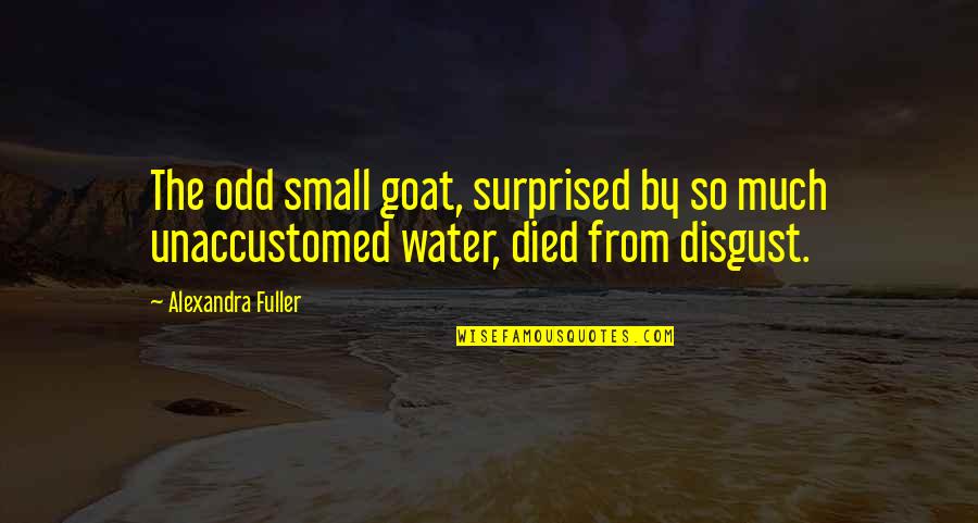 Surprised Quotes By Alexandra Fuller: The odd small goat, surprised by so much