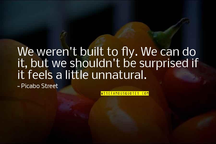 Surprised Quotes By Picabo Street: We weren't built to fly. We can do