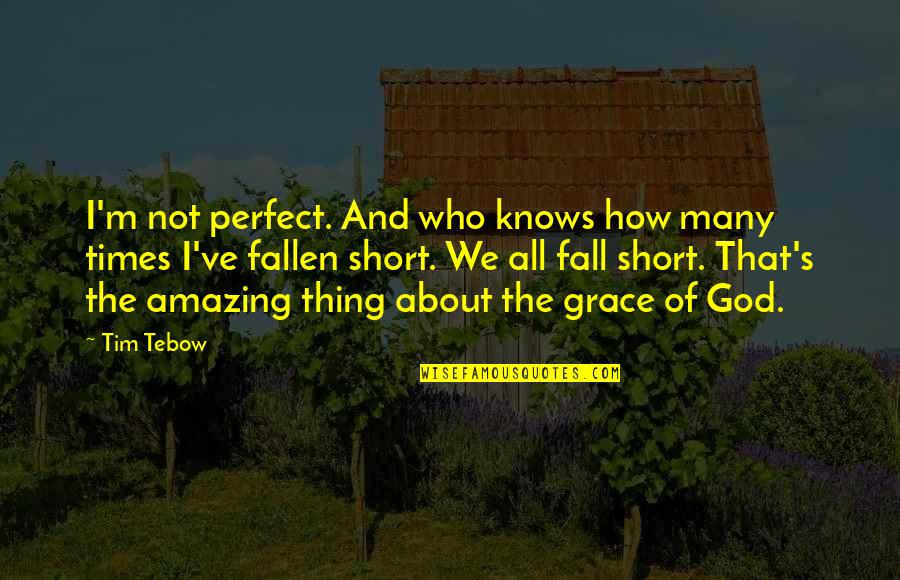 Surrealist Poetry Quotes By Tim Tebow: I'm not perfect. And who knows how many