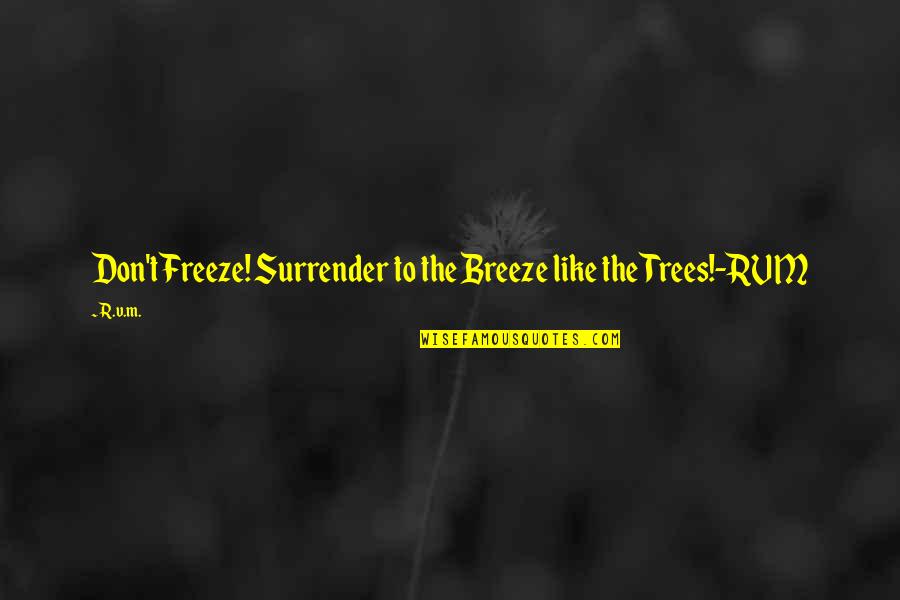 Surrender Inspirational Quotes By R.v.m.: Don't Freeze! Surrender to the Breeze like the
