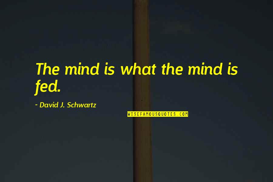 Surrogate Daughter Quotes By David J. Schwartz: The mind is what the mind is fed.