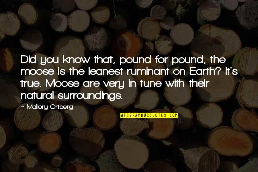 Surroundings Inc Quotes By Mallory Ortberg: Did you know that, pound for pound, the Surroundings Inc Quotes By Mallory Ortberg: Did you know that, pound for pound, the
