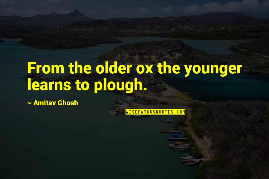 Surrounds Synonym Quotes By Amitav Ghosh: From the older ox the younger learns to Surrounds Synonym Quotes By Amitav Ghosh: From the older ox the younger learns to