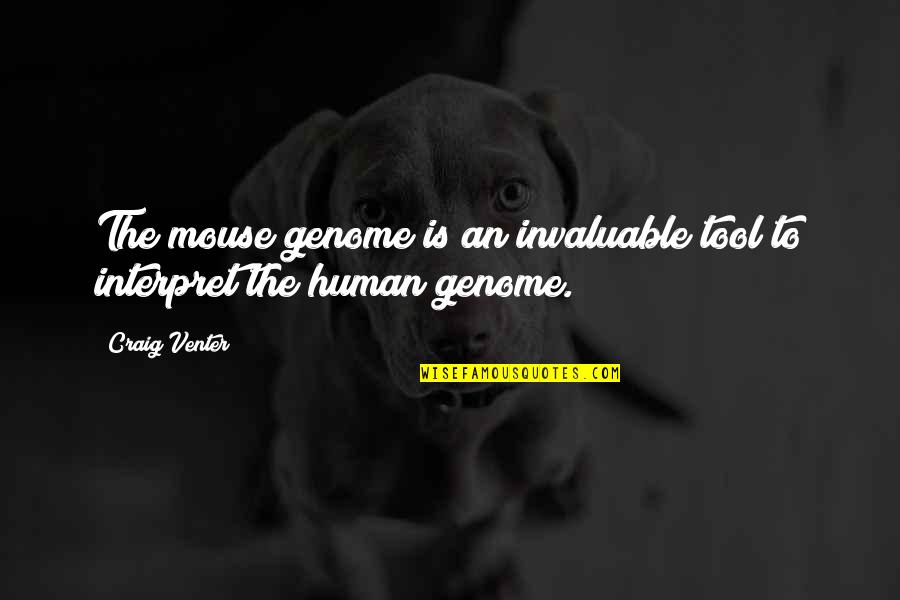 Sursum Ursa Quotes By Craig Venter: The mouse genome is an invaluable tool to