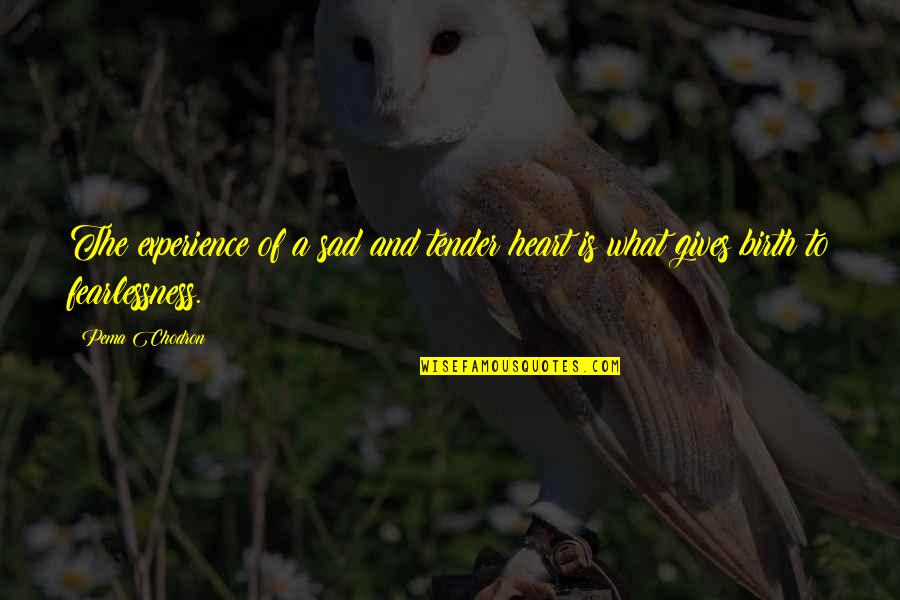 Suruchi Adarkar Quotes By Pema Chodron: The experience of a sad and tender heart