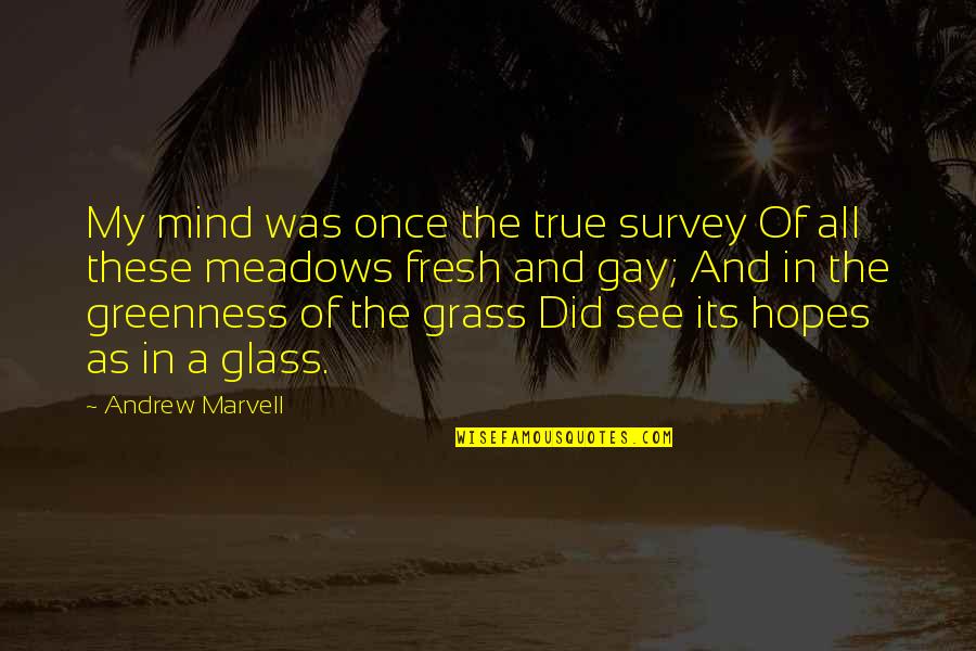 Survey Quotes By Andrew Marvell: My mind was once the true survey Of