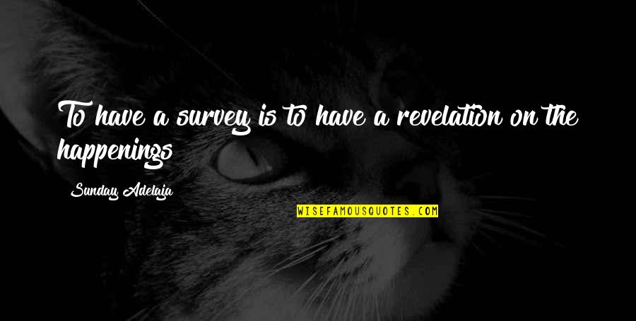 Survey'd Quotes By Sunday Adelaja: To have a survey is to have a