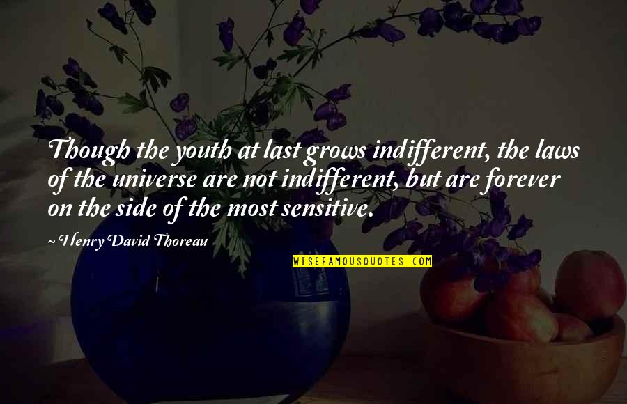 Survivable Cancers Quotes By Henry David Thoreau: Though the youth at last grows indifferent, the