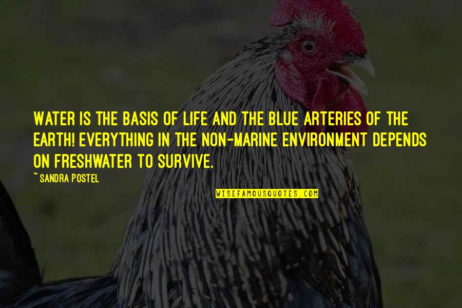 Survive Life Quotes By Sandra Postel: Water is the basis of life and the Survive Life Quotes By Sandra Postel: Water is the basis of life and the