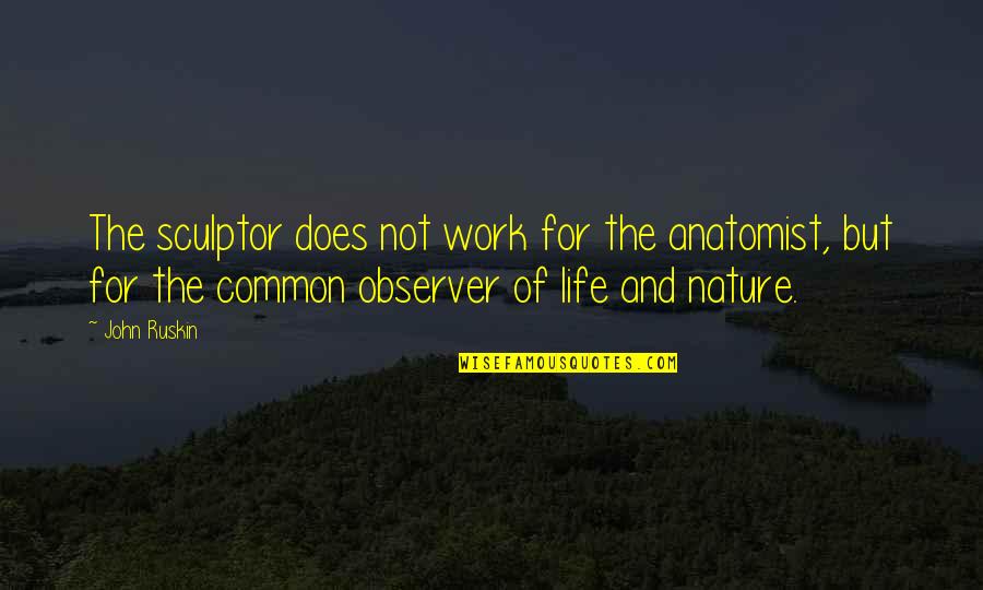 Survive The Ark Quotes By John Ruskin: The sculptor does not work for the anatomist, Survive The Ark Quotes By John Ruskin: The sculptor does not work for the anatomist,
