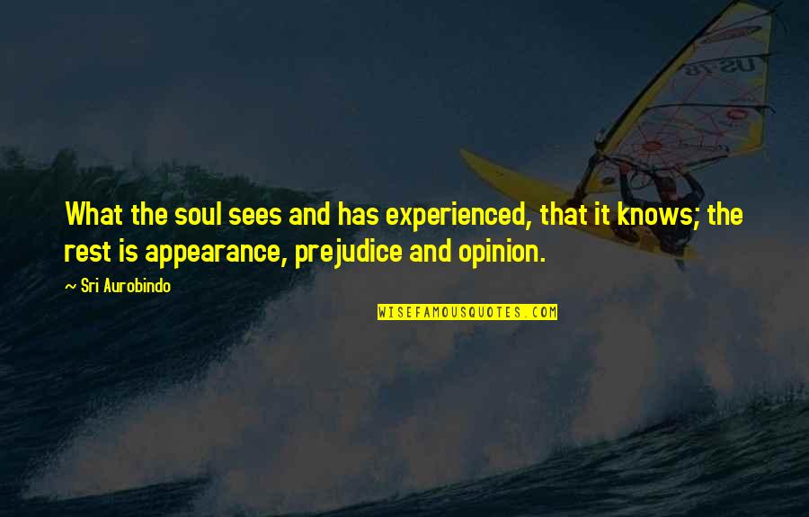 Surviving Alone Quotes By Sri Aurobindo: What the soul sees and has experienced, that