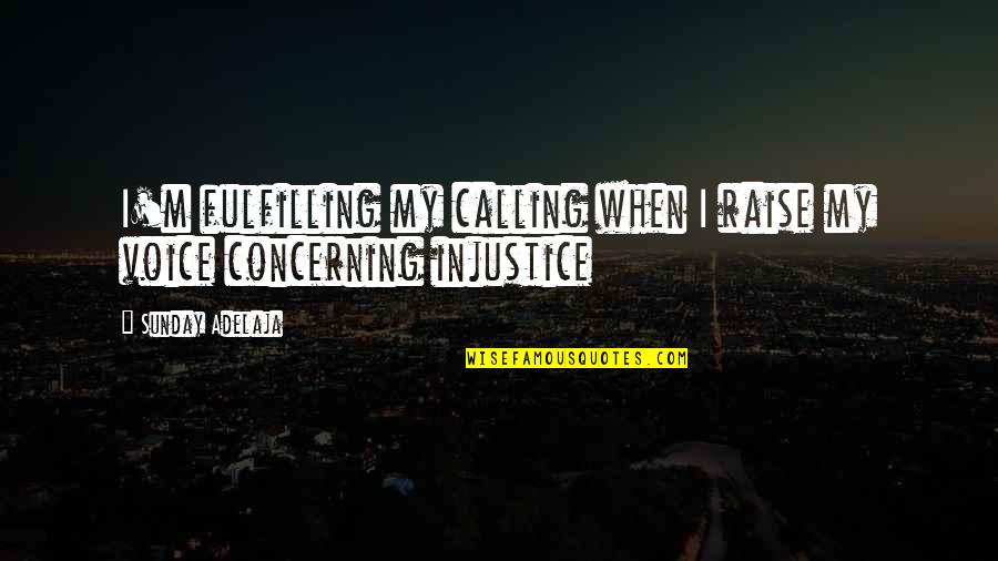 Surviving Natural Disaster Quotes By Sunday Adelaja: I'm fulfilling my calling when I raise my