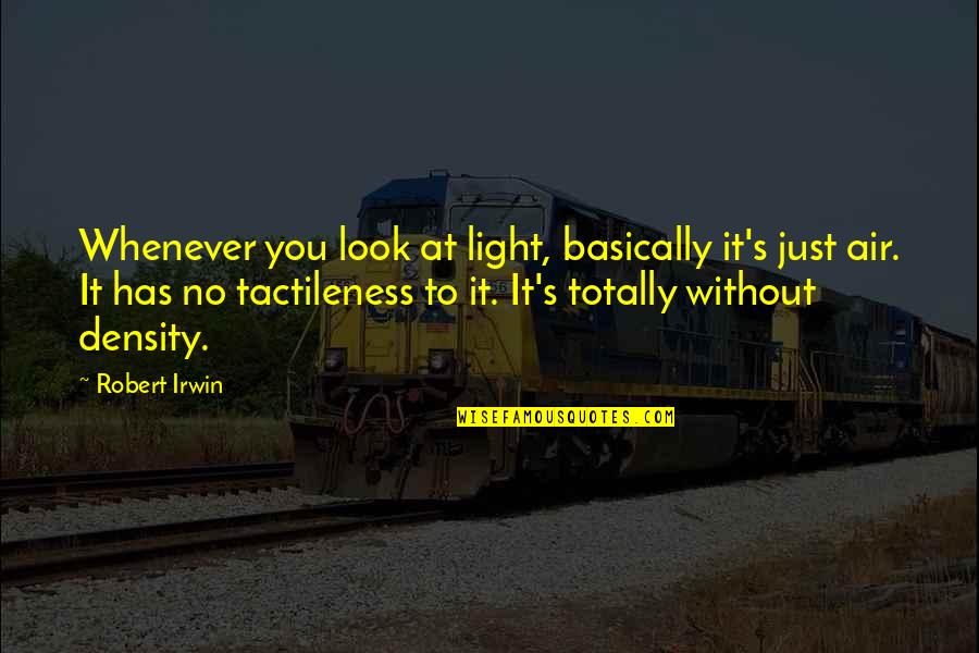 Surviving Trauma Quotes By Robert Irwin: Whenever you look at light, basically it's just