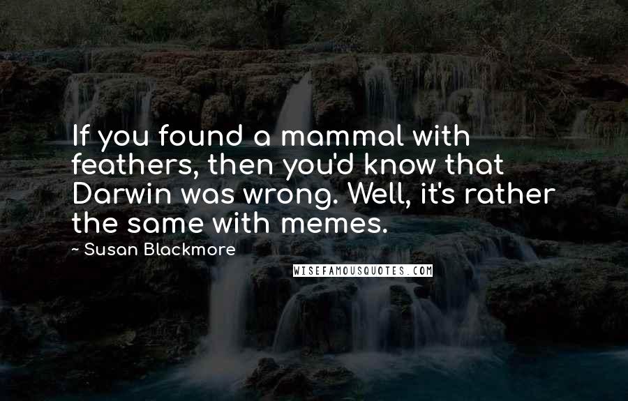 Susan Blackmore quotes: If you found a mammal with feathers, then you'd know that Darwin was wrong. Well, it's rather the same with memes.