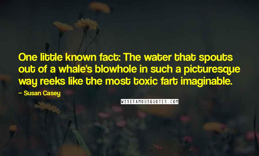 Susan Casey quotes: One little known fact: The water that spouts out of a whale's blowhole in such a picturesque way reeks like the most toxic fart imaginable.