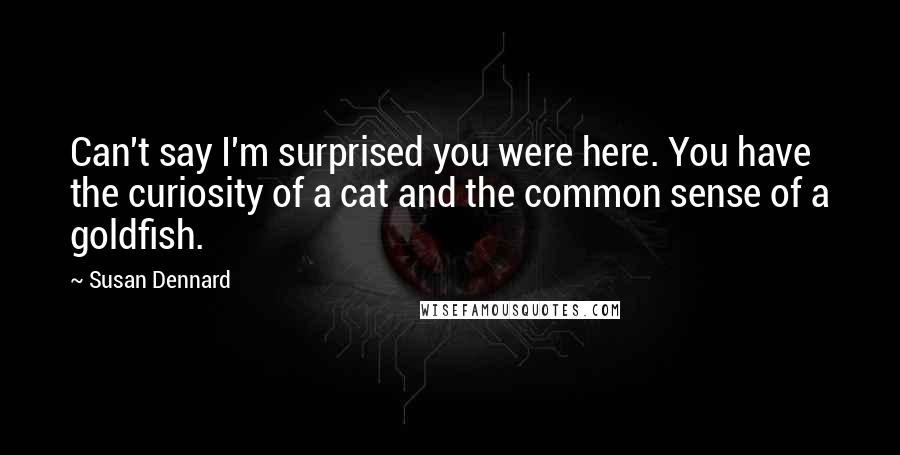 Susan Dennard quotes: Can't say I'm surprised you were here. You have the curiosity of a cat and the common sense of a goldfish. Susan Dennard quotes: Can't say I'm surprised you were here. You have the curiosity of a cat and the common sense of a goldfish.
