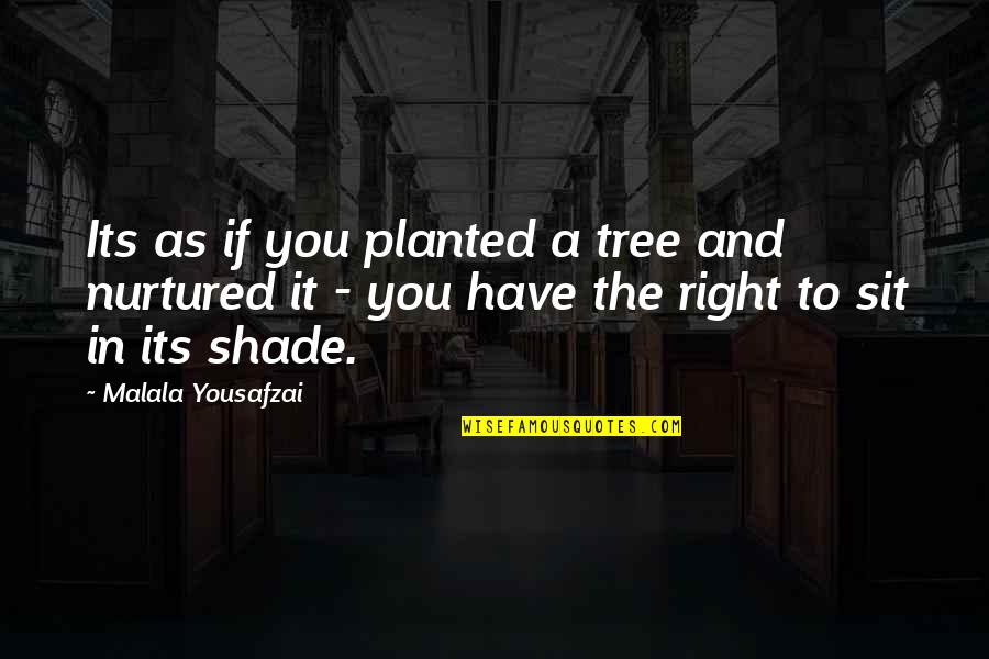 Susan Hampshire Quotes By Malala Yousafzai: Its as if you planted a tree and