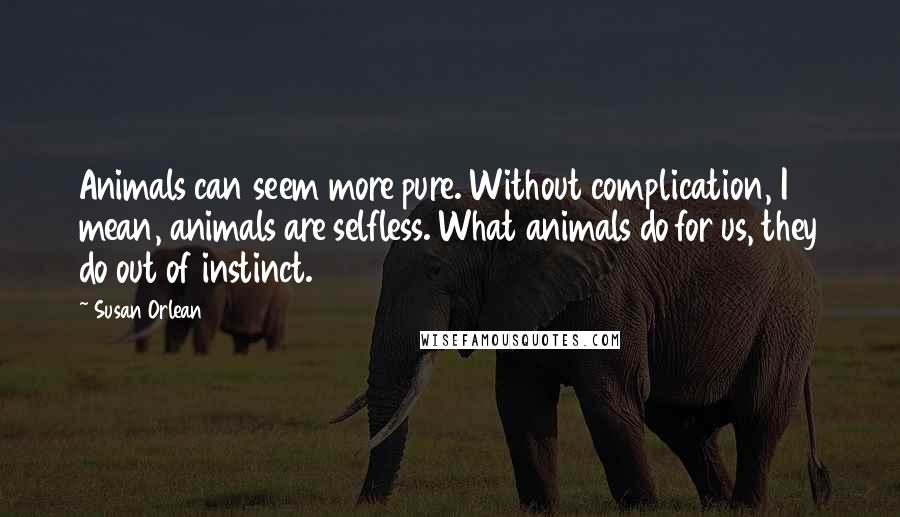 Susan Orlean quotes: Animals can seem more pure. Without complication, I mean, animals are selfless. What animals do for us, they do out of instinct.