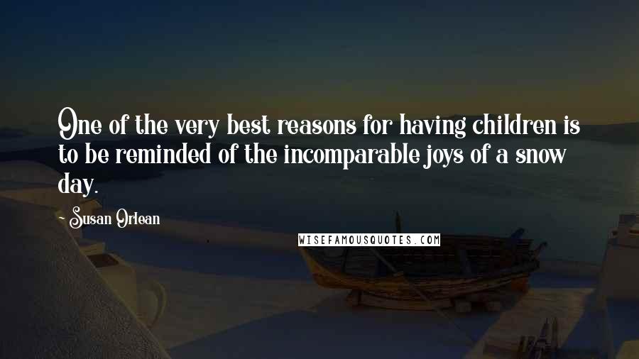 Susan Orlean quotes: One of the very best reasons for having children is to be reminded of the incomparable joys of a snow day.