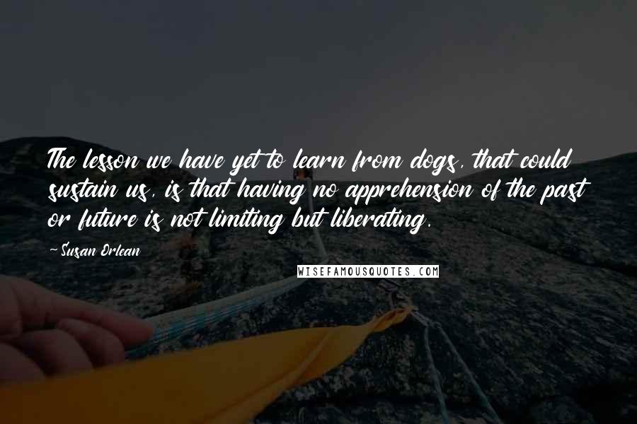 Susan Orlean quotes: The lesson we have yet to learn from dogs, that could sustain us, is that having no apprehension of the past or future is not limiting but liberating. Susan Orlean quotes: The lesson we have yet to learn from dogs, that could sustain us, is that having no apprehension of the past or future is not limiting but liberating.