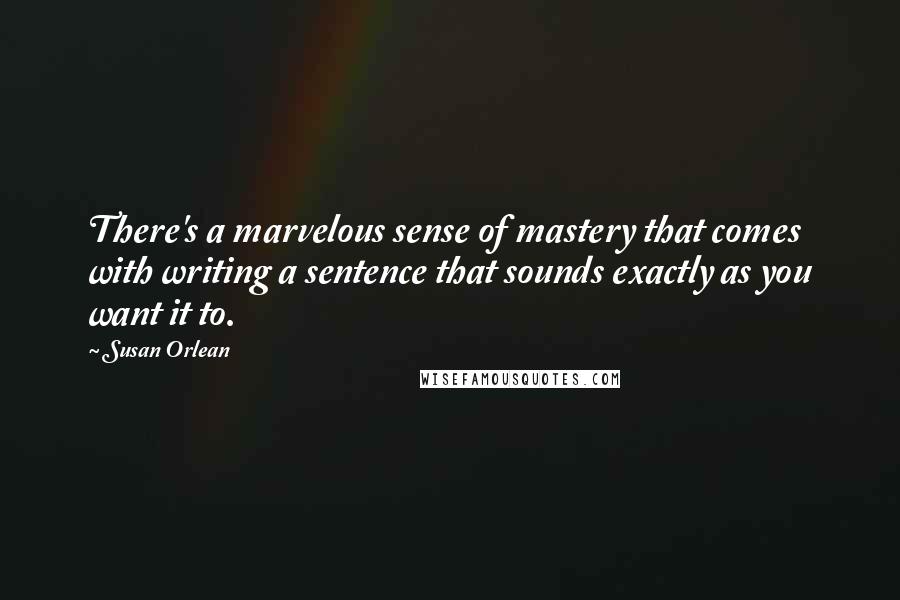 Susan Orlean quotes: There's a marvelous sense of mastery that comes with writing a sentence that sounds exactly as you want it to.