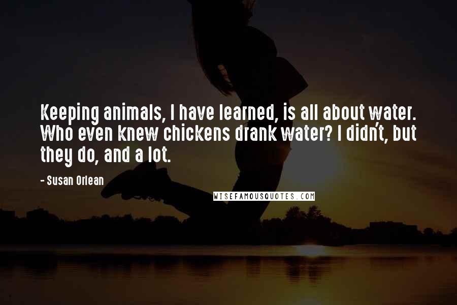 Susan Orlean quotes: Keeping animals, I have learned, is all about water. Who even knew chickens drank water? I didn't, but they do, and a lot.