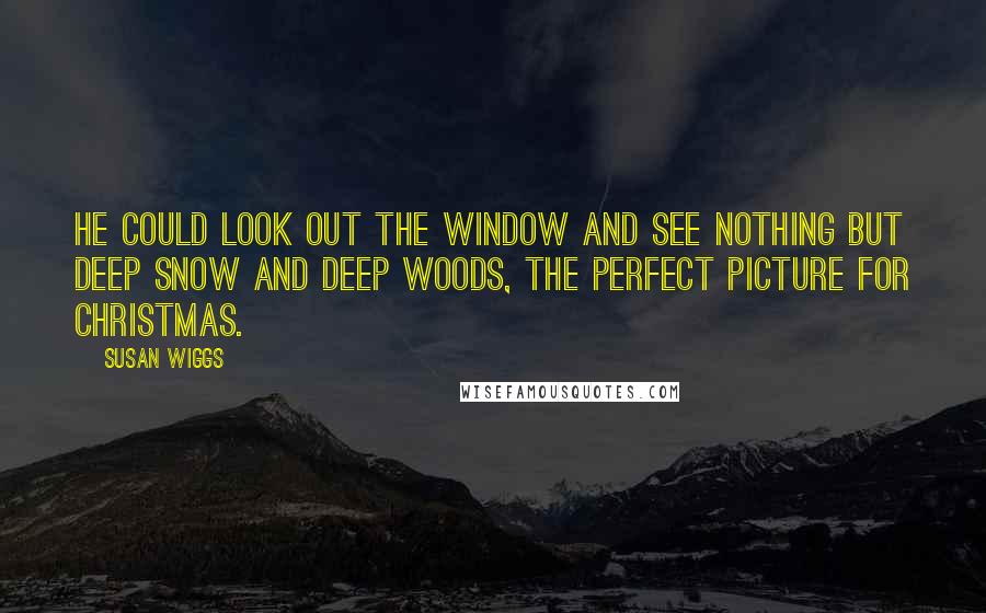 Susan Wiggs quotes: He could look out the window and see nothing but deep snow and deep woods, the perfect picture for Christmas.