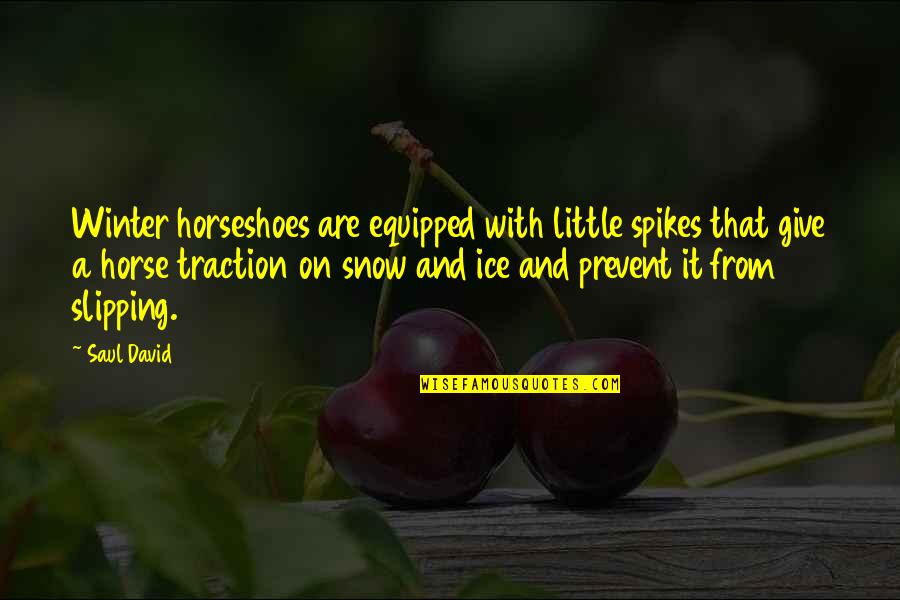 Susein Quotes By Saul David: Winter horseshoes are equipped with little spikes that Susein Quotes By Saul David: Winter horseshoes are equipped with little spikes that