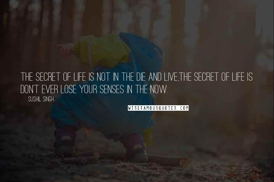 Sushil Singh quotes: The secret of life is not in the Die And Live,The secret of life is Don't ever lose your senses in the NOW.