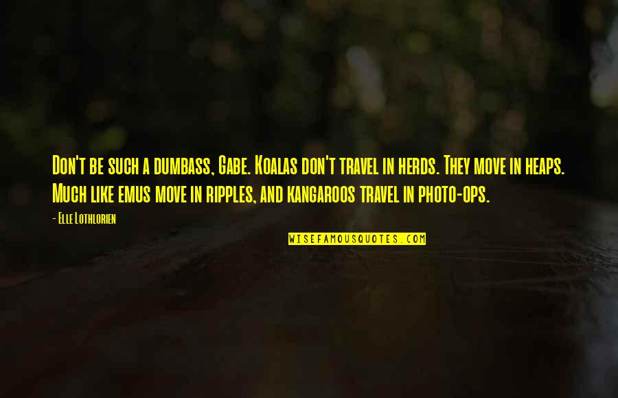 Sushila Mashruwala Quotes By Elle Lothlorien: Don't be such a dumbass, Gabe. Koalas don't Sushila Mashruwala Quotes By Elle Lothlorien: Don't be such a dumbass, Gabe. Koalas don't