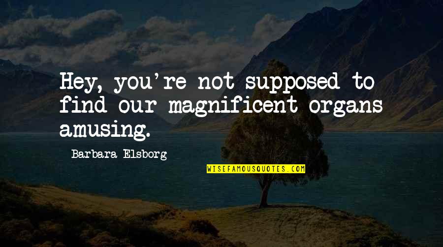 Susie Q Quotes By Barbara Elsborg: Hey, you're not supposed to find our magnificent