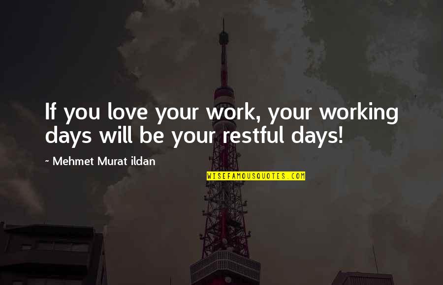 Suspecting Quotes By Mehmet Murat Ildan: If you love your work, your working days