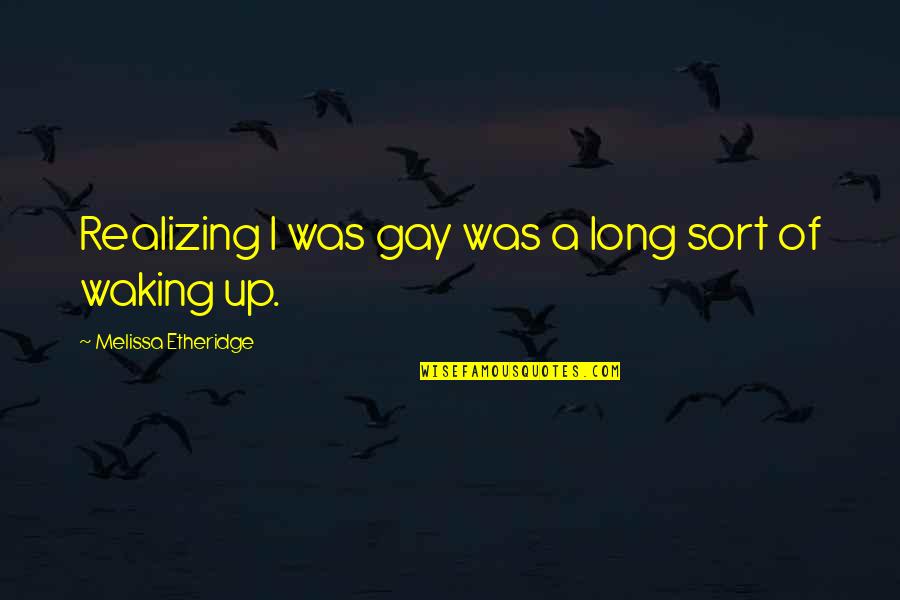Suspendido In English Quotes By Melissa Etheridge: Realizing I was gay was a long sort