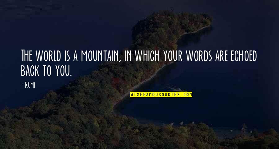 Sussen Storage Quotes By Rumi: The world is a mountain, in which your