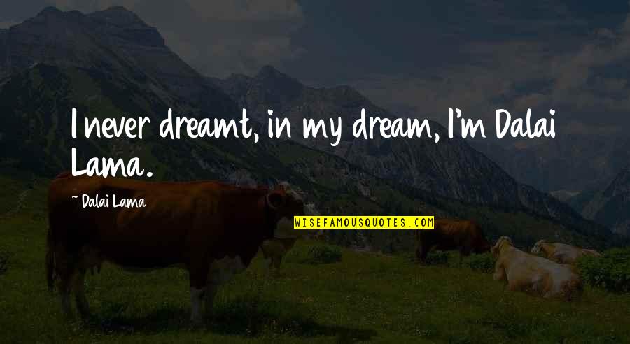 Sustainability Quotes Quotes By Dalai Lama: I never dreamt, in my dream, I'm Dalai