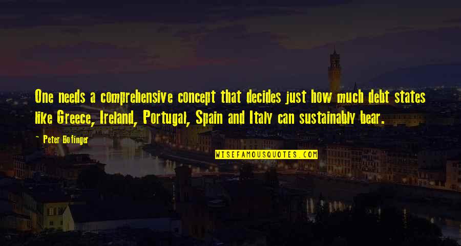 Sustainably Quotes By Peter Bofinger: One needs a comprehensive concept that decides just