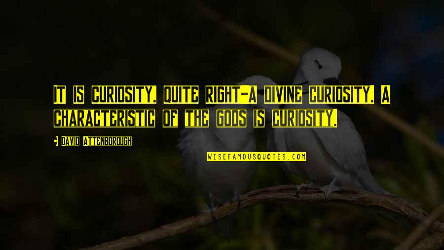 Sustaining Improvement Quotes By David Attenborough: It is curiosity, quite right-a divine curiosity. A