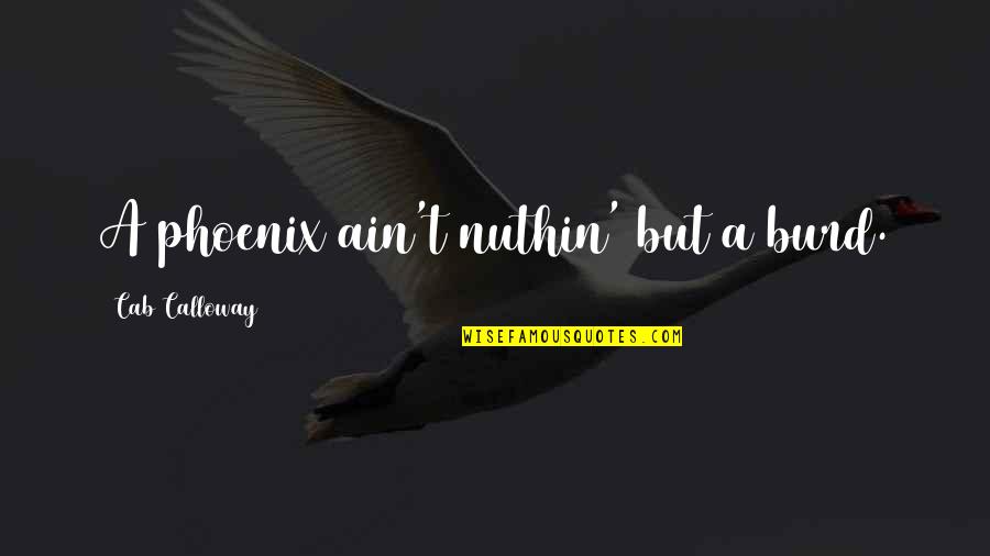 Sustaining Money Quotes By Cab Calloway: A phoenix ain't nuthin' but a burd.