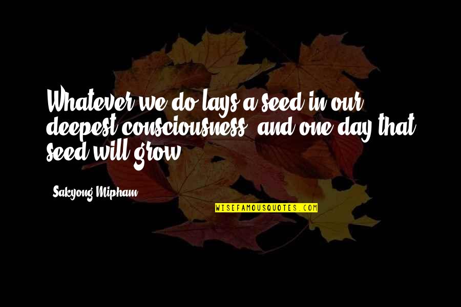 Sustancialmente Sinonimos Quotes By Sakyong Mipham: Whatever we do lays a seed in our