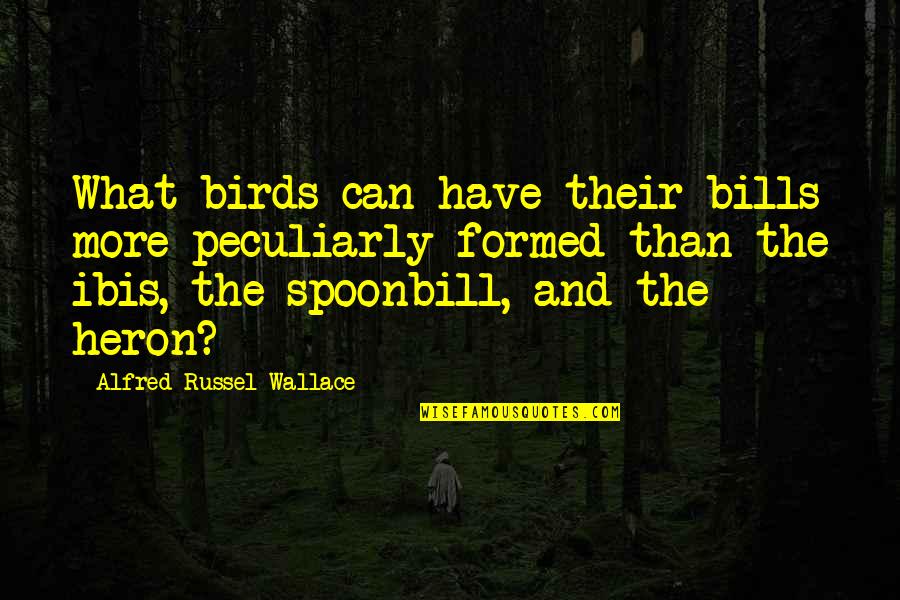 Suter Quotes By Alfred Russel Wallace: What birds can have their bills more peculiarly Suter Quotes By Alfred Russel Wallace: What birds can have their bills more peculiarly