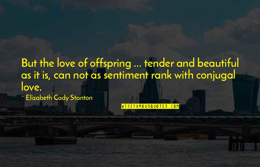 Sutiene Quotes By Elizabeth Cady Stanton: But the love of offspring ... tender and Sutiene Quotes By Elizabeth Cady Stanton: But the love of offspring ... tender and
