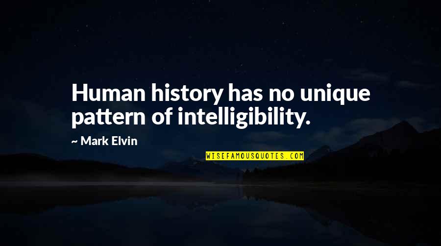 Sutina And Steven Quotes By Mark Elvin: Human history has no unique pattern of intelligibility.