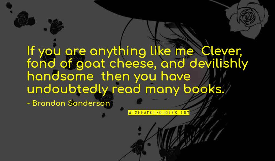 Suwalski Pk Quotes By Brandon Sanderson: If you are anything like me Clever, fond Suwalski Pk Quotes By Brandon Sanderson: If you are anything like me Clever, fond