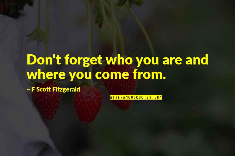 Suyudi Quotes By F Scott Fitzgerald: Don't forget who you are and where you