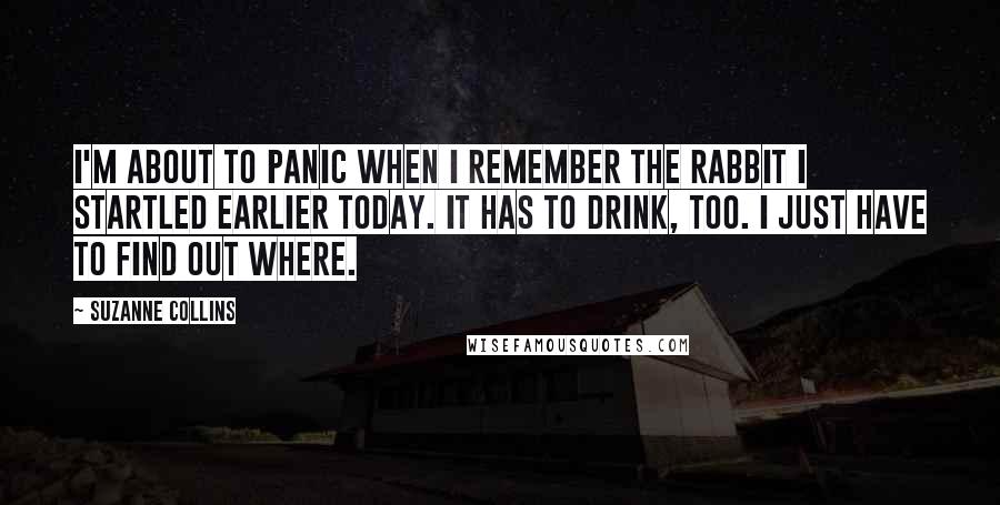 Suzanne Collins quotes: I'm about to panic when I remember the rabbit I startled earlier today. It has to drink, too. I just have to find out where.