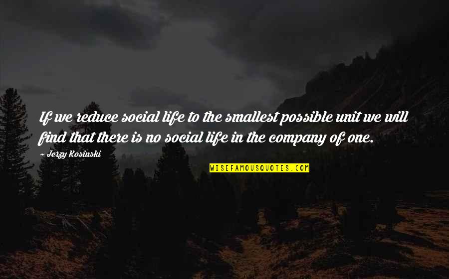 Suzanne Pleshette Quotes By Jerzy Kosinski: If we reduce social life to the smallest