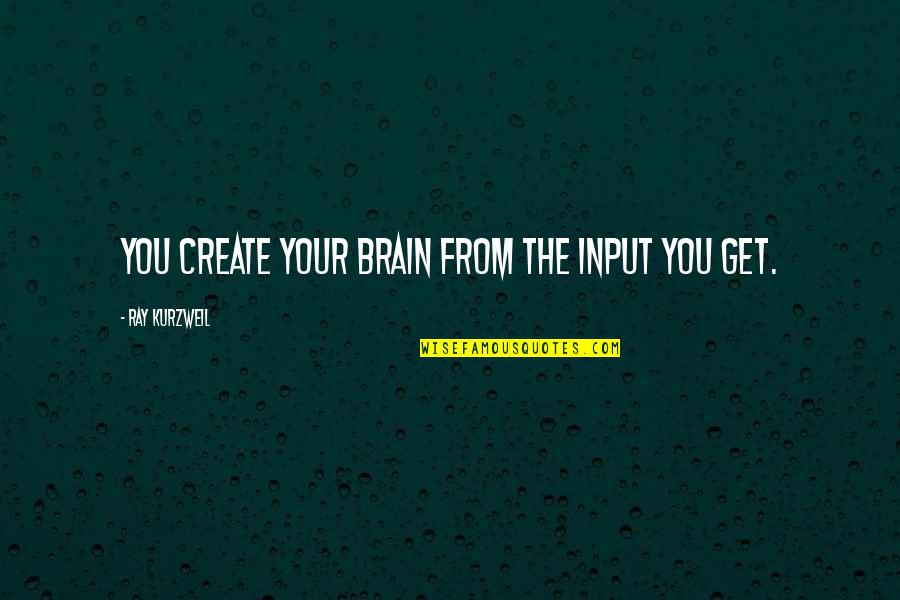 Suzio Quarry Quotes By Ray Kurzweil: you create your brain from the input you Suzio Quarry Quotes By Ray Kurzweil: you create your brain from the input you