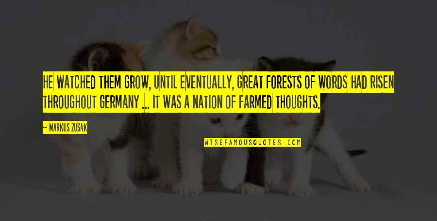 Suzukake No Michi Quotes By Markus Zusak: He watched them grow, until eventually, great forests Suzukake No Michi Quotes By Markus Zusak: He watched them grow, until eventually, great forests