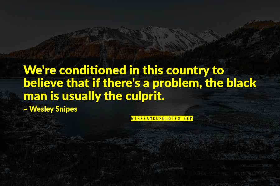 Svaards Marauder Quotes By Wesley Snipes: We're conditioned in this country to believe that Svaards Marauder Quotes By Wesley Snipes: We're conditioned in this country to believe that